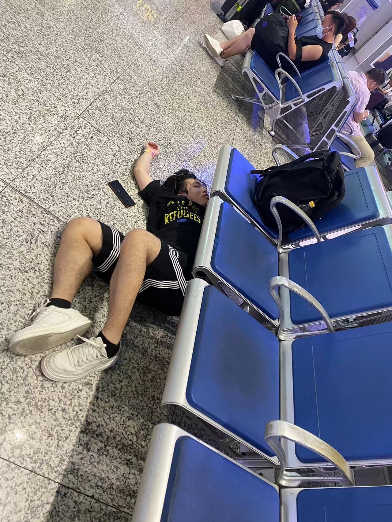 大象席地而坐意思