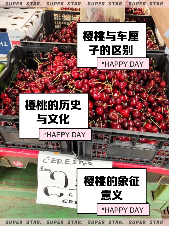 樱桃英文怎样说