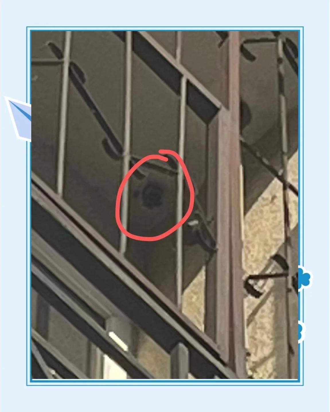 马蜂来家里是福还是祸