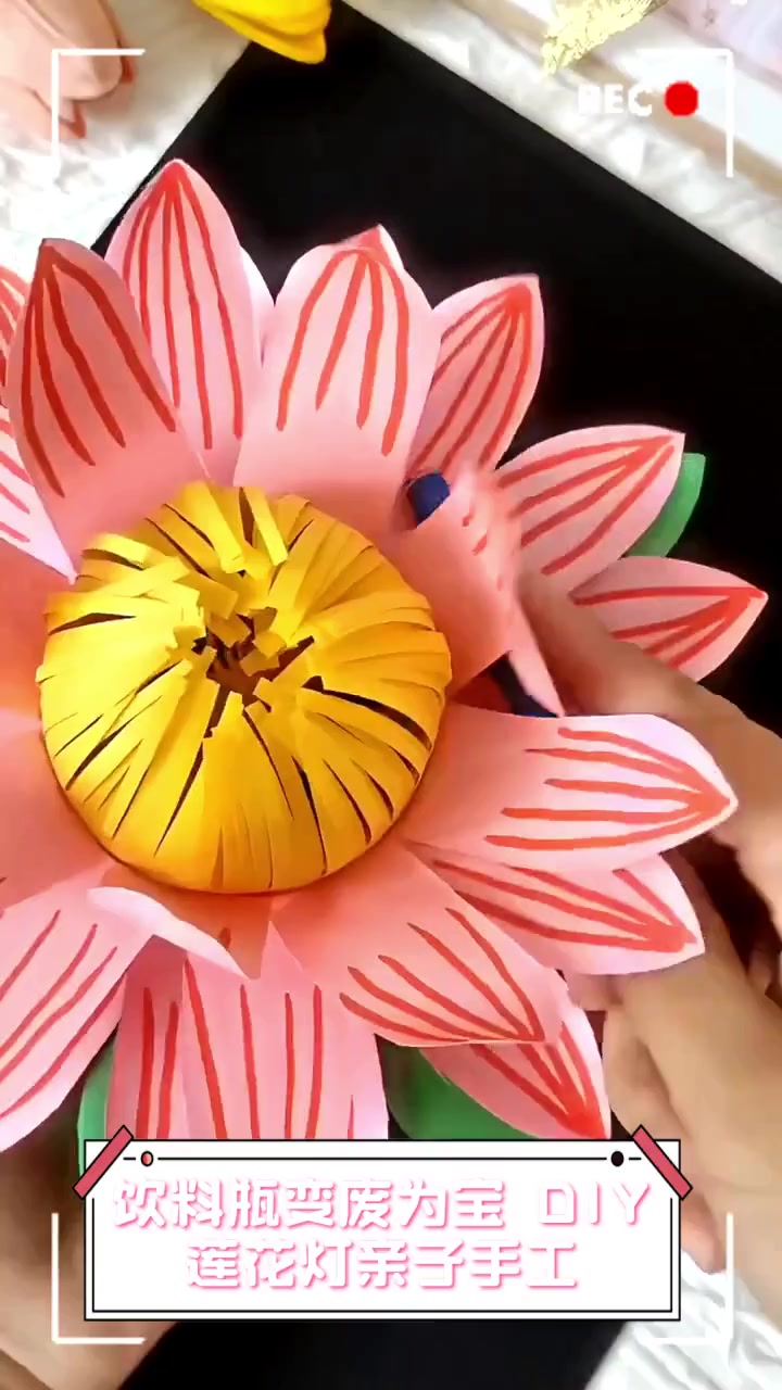 饮料瓶可以做什么废物利用